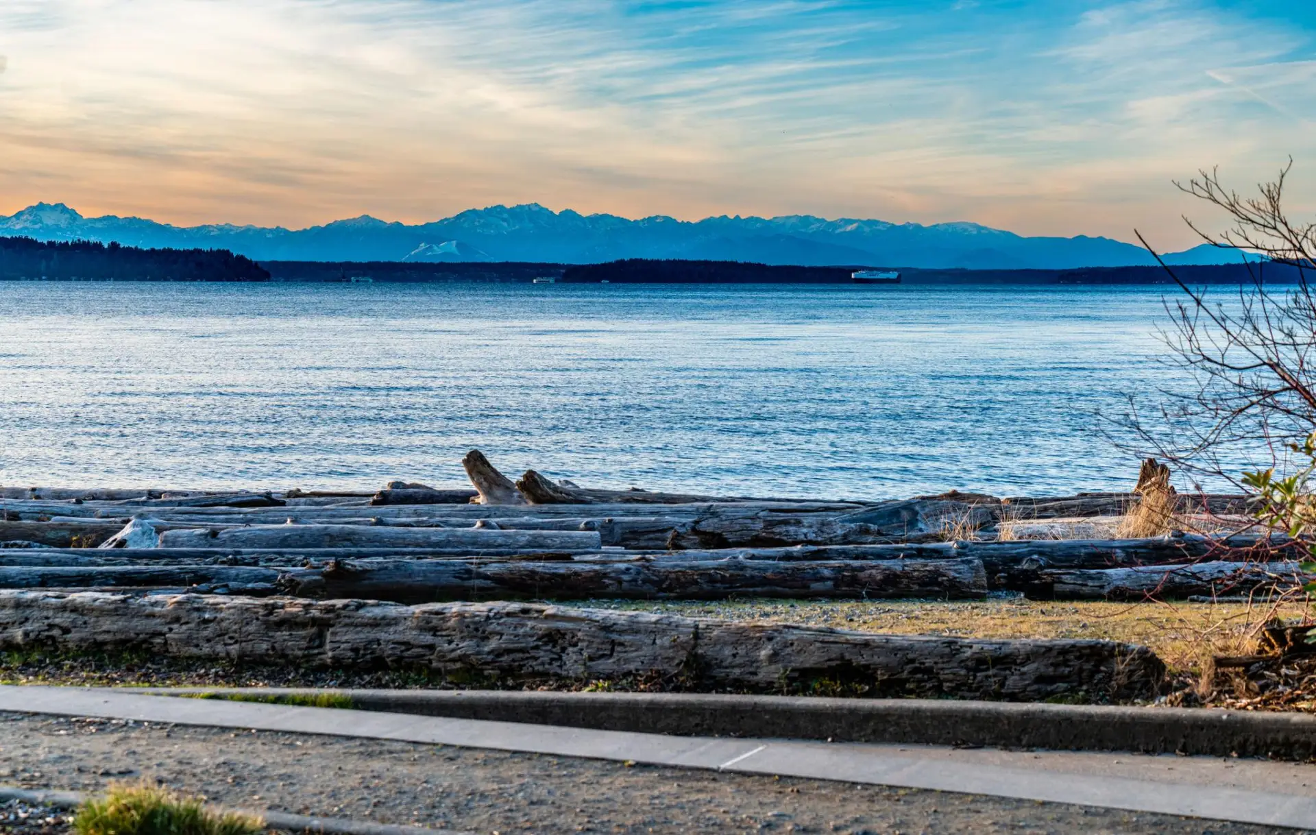 Roof Repair in Burien