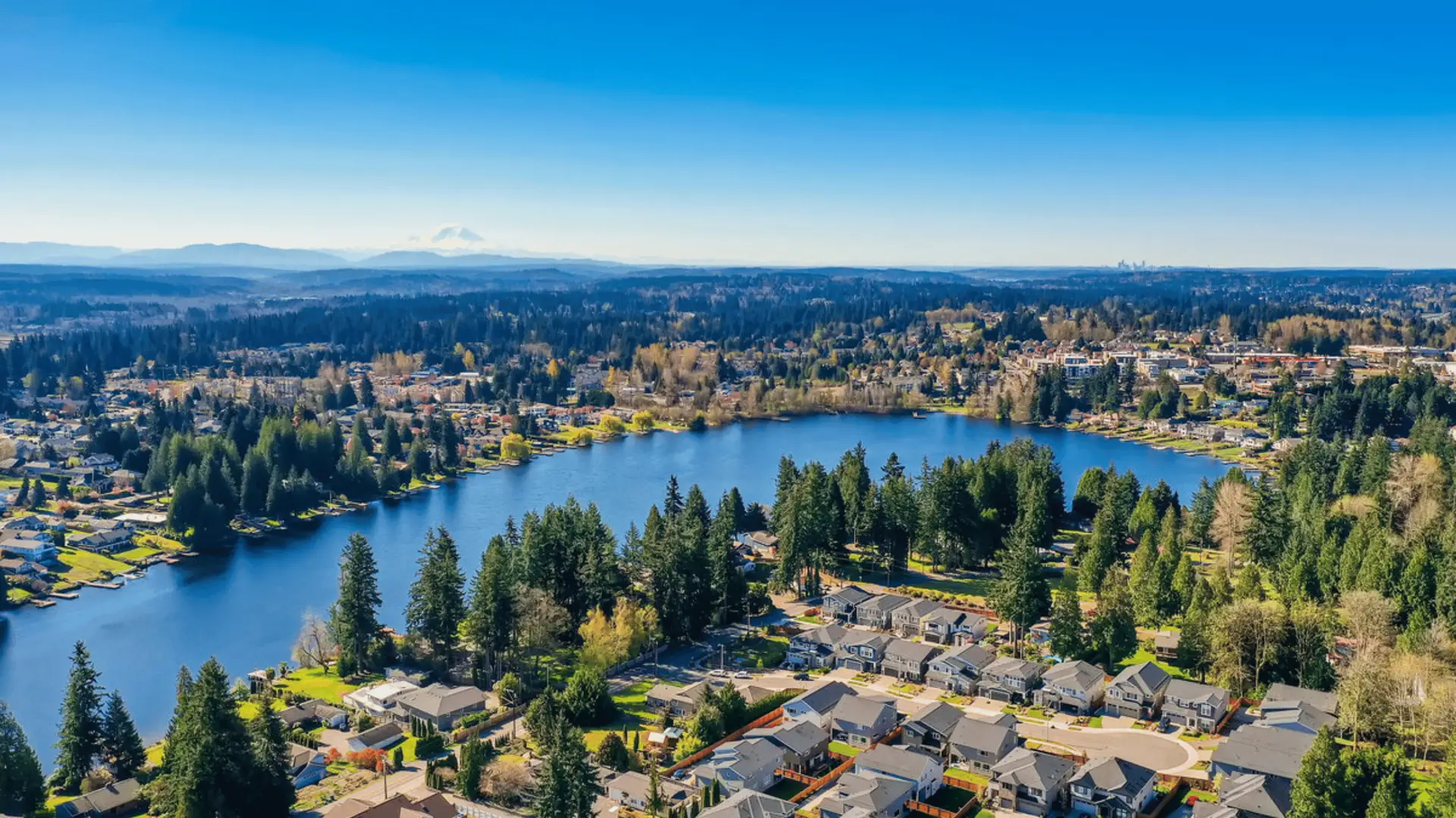 Roof Repair in Lynnwood