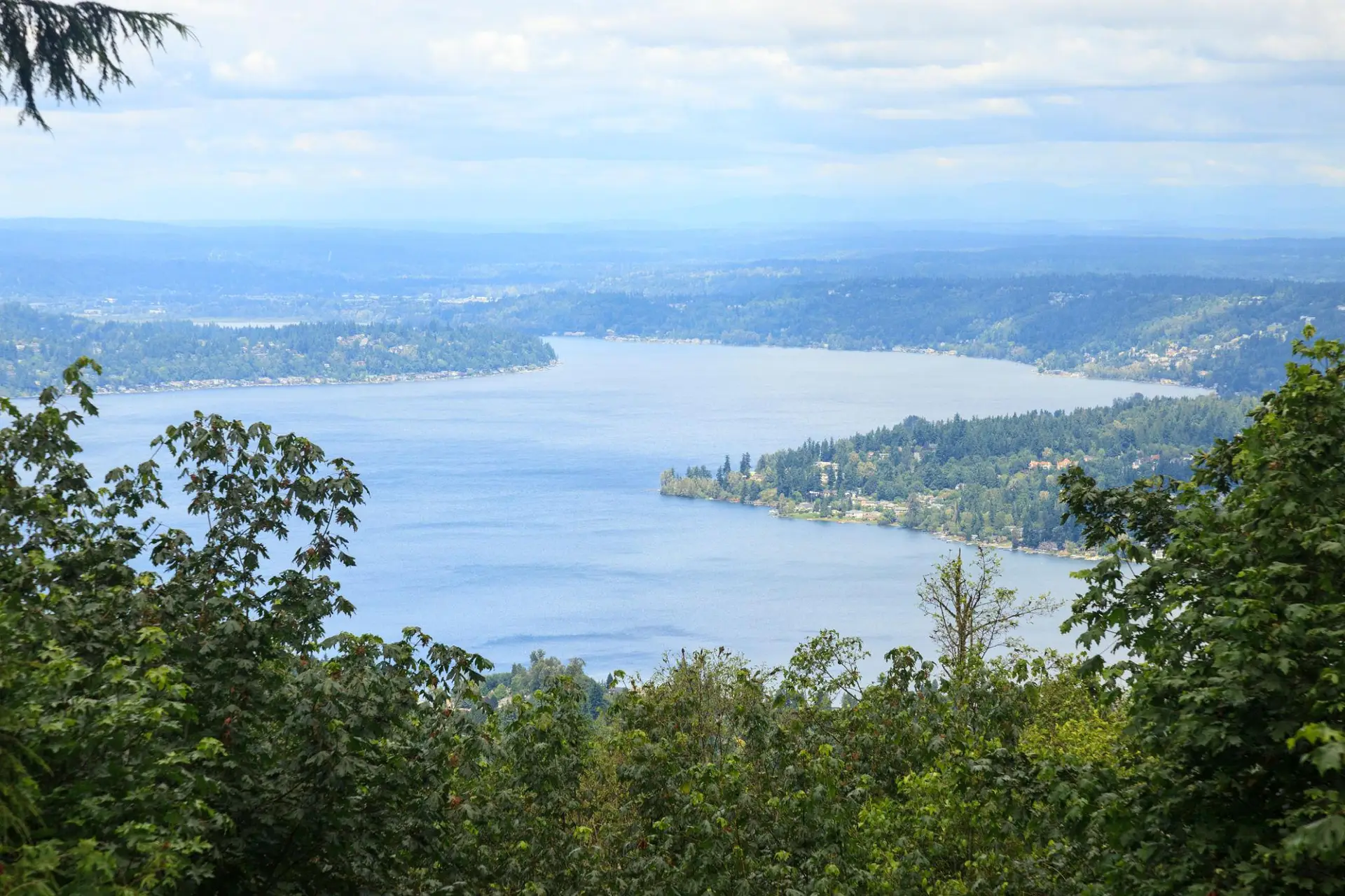 Roof Repair in Sammamish