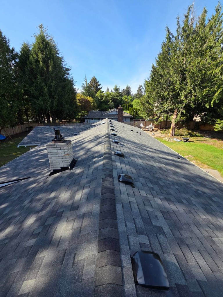 Brick chimney and roof vents on a gray shingle roof