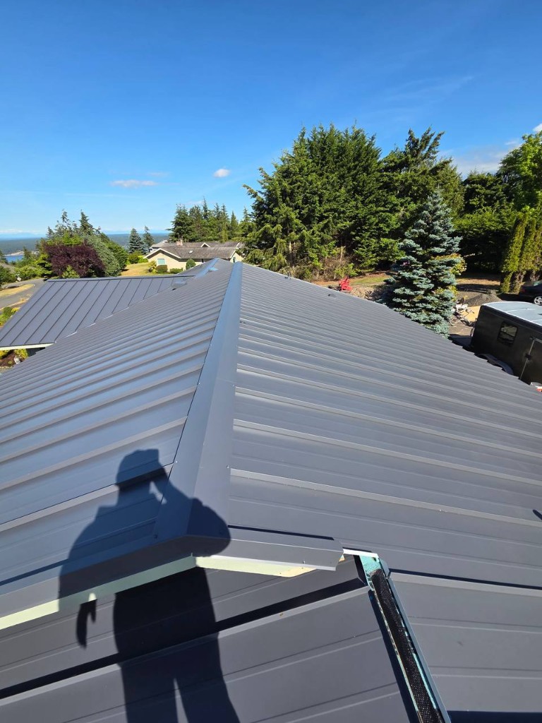 Charcoal metal roof with plumbing vent and clean panel seams