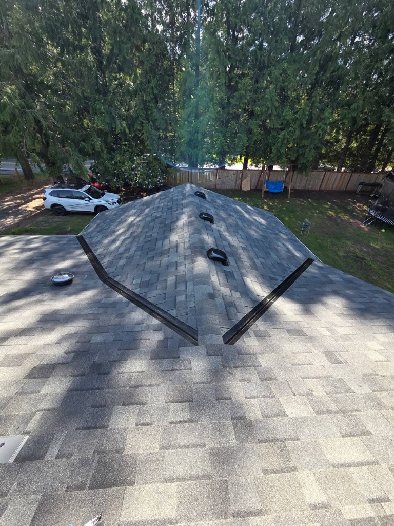 Aerial view of roof ventilation and penetrations