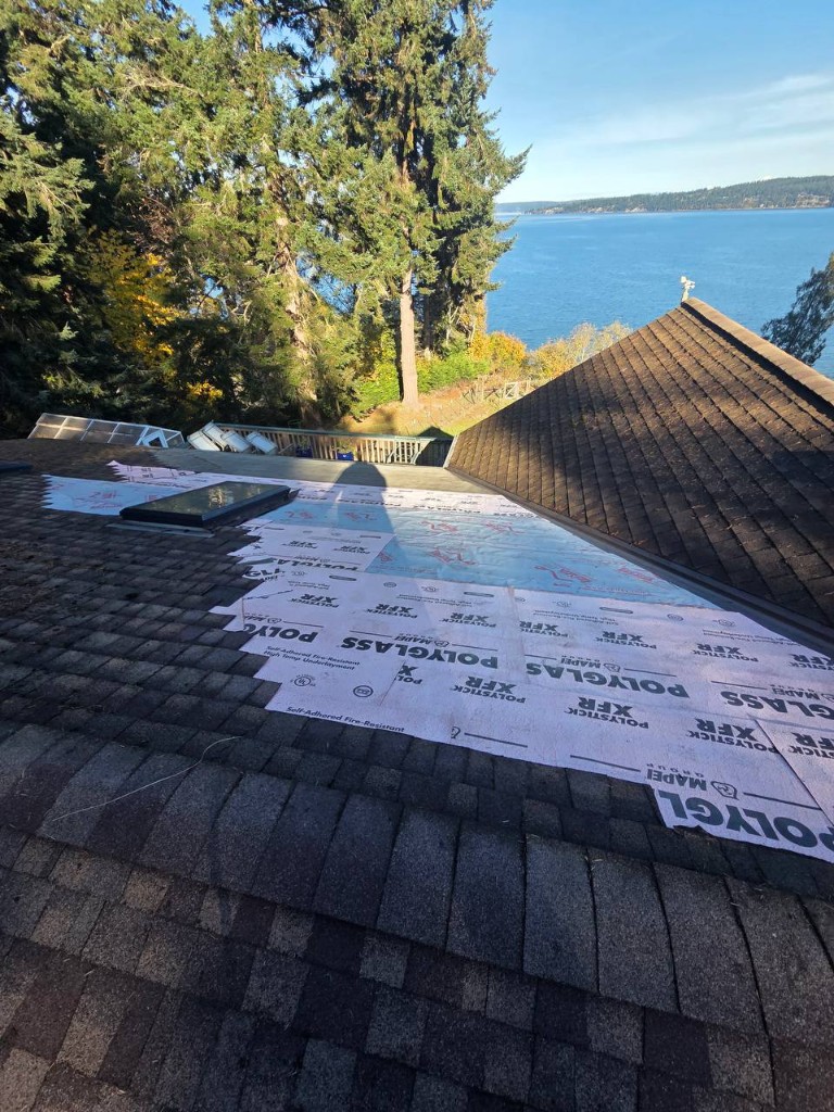 Specialty Roof Services in Greater Seattle
