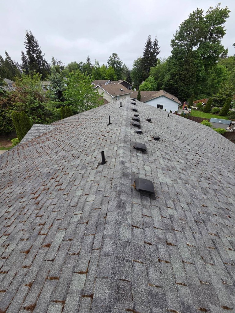 Weathered asphalt roof with aging box vents and moss
