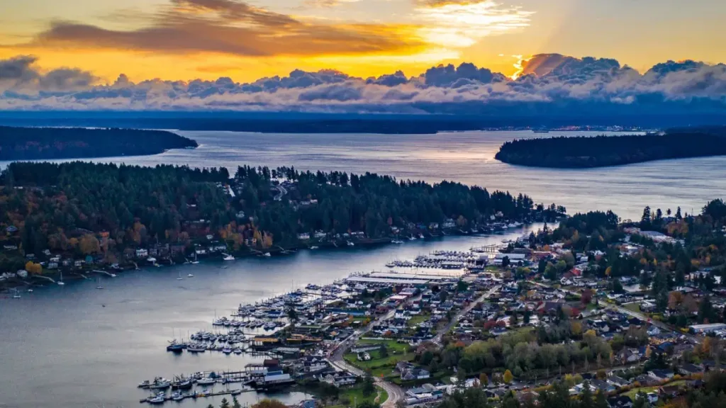 Shingle Roof Repair in Edmonds