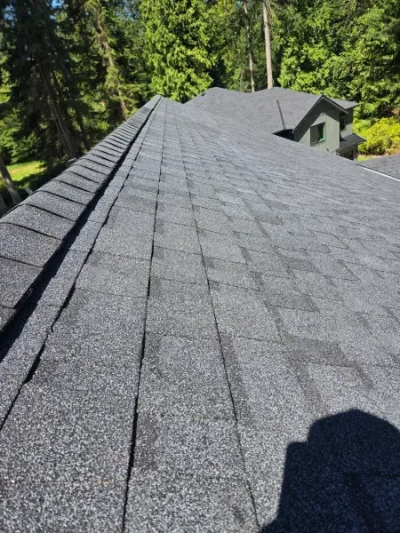Gray architectural shingle ridge cap close-up