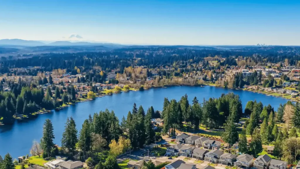 Shingle Roof Repair in Lynnwood