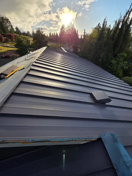 Close-up of charcoal standing seam metal roof panels with clean vertical seams