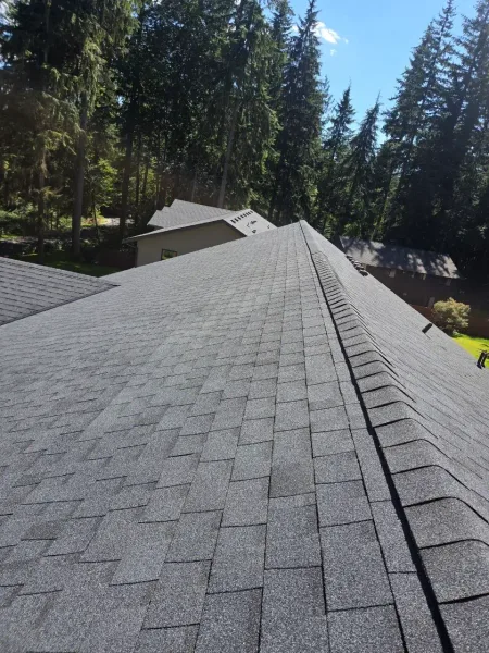 Charcoal gray architectural shingle ridge detail in Seattle
