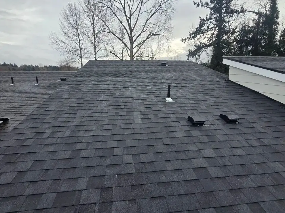 Shingle Roof Repair in Greater Seattle