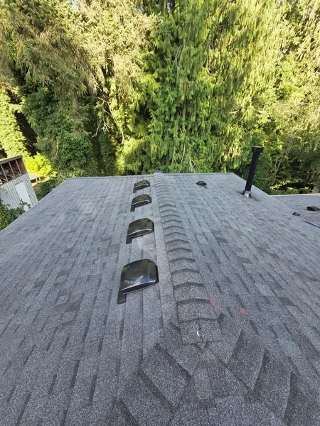 Charcoal architectural shingles ridge cap and box vents
