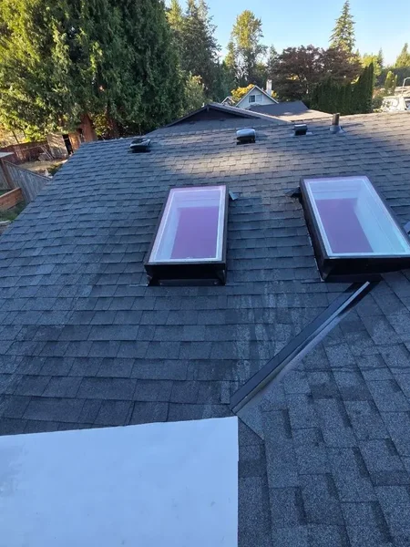 Residential skylight pair charcoal shingles backyard in Bothell