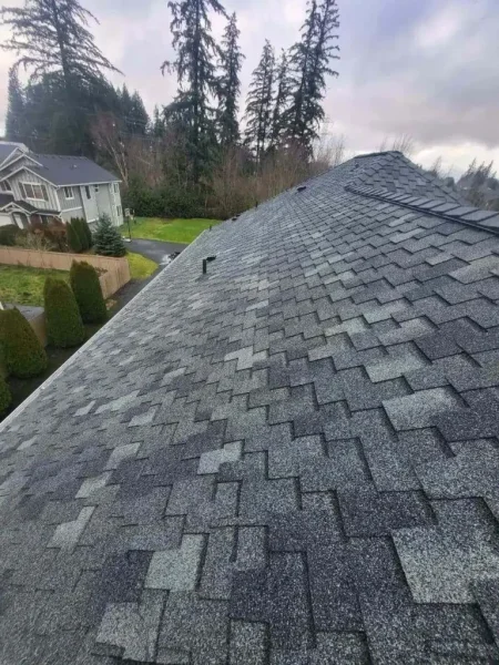 New architectural shingles after roof work