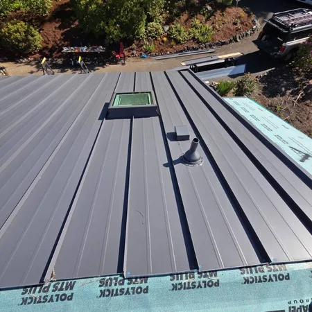 Aerial view of metal roof with skylights on a modern home