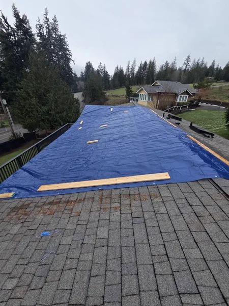 Blue emergency tarp over shingles with evergreen neighborhood behind