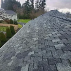 New architectural shingles on a home