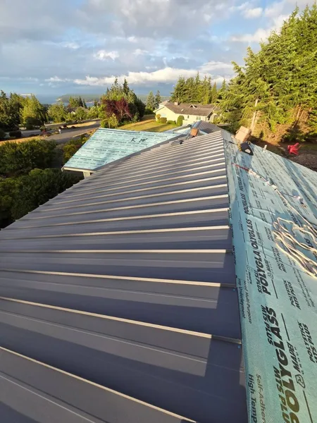 Charcoal standing seam metal roof with skylight on a suburban home