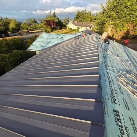 Panel roof with skylight on a suburban Puget Sound home