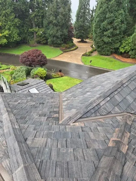 Roof inspection in Bothell