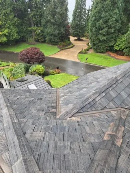 Roof inspection on a residential home