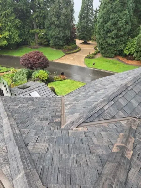 Roof inspection in Seattle