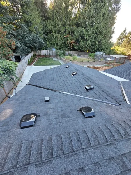 Architectural shingle roof hip ridge and box vents