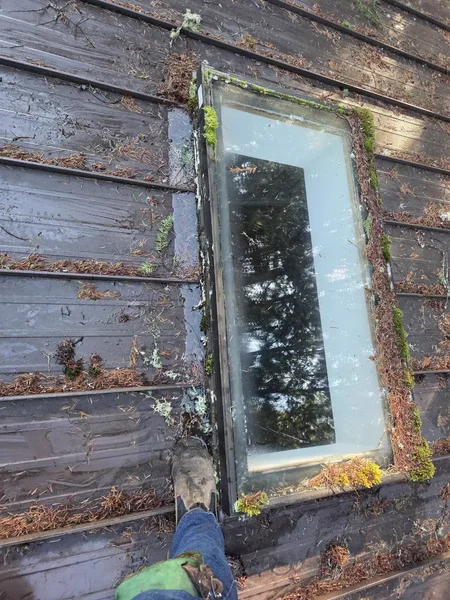 Moss-covered skylight on metal roof during leak assessment