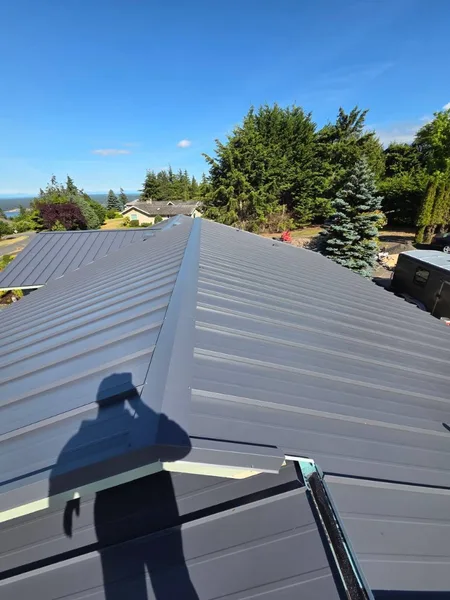 Charcoal metal roof with plumbing vent and clean panel seams