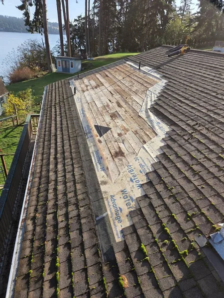 Roof tear-off moss in Seattle