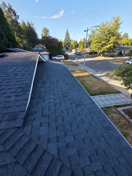 Long charcoal architectural shingle roof slope