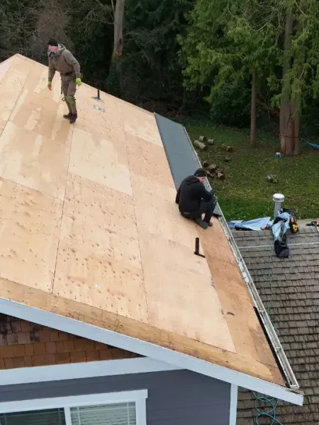 Shingle field work across Western Washington