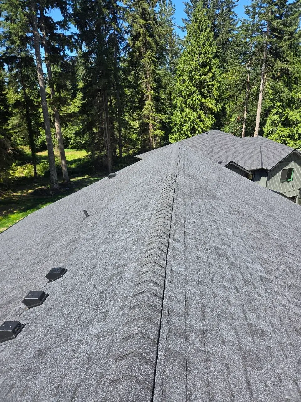 Architectural shingle ridge and attic vent detail in Bellevue
