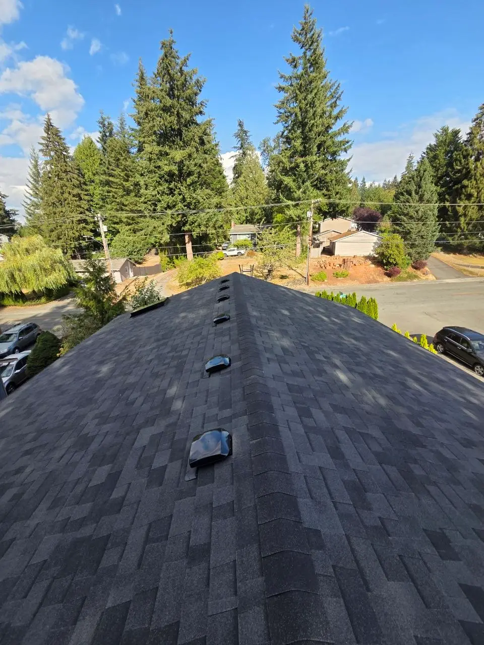 Architectural shingle ridge view with box vents