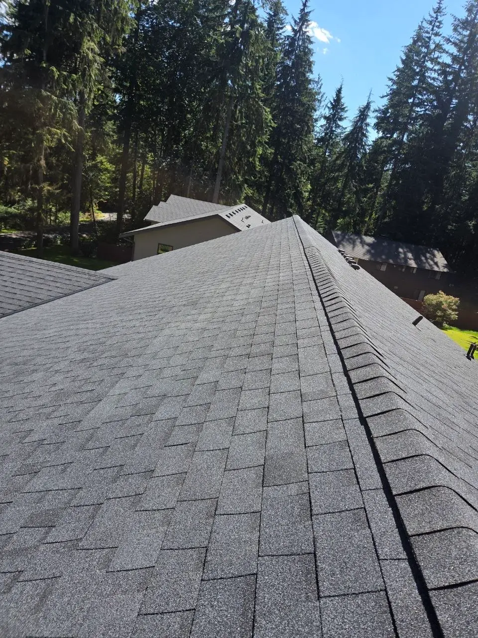 Charcoal gray architectural shingle ridge detail