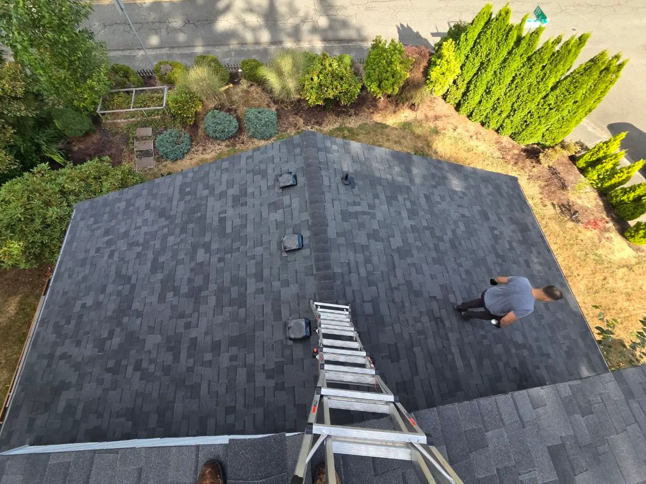Gray architectural shingles with vents and ladder