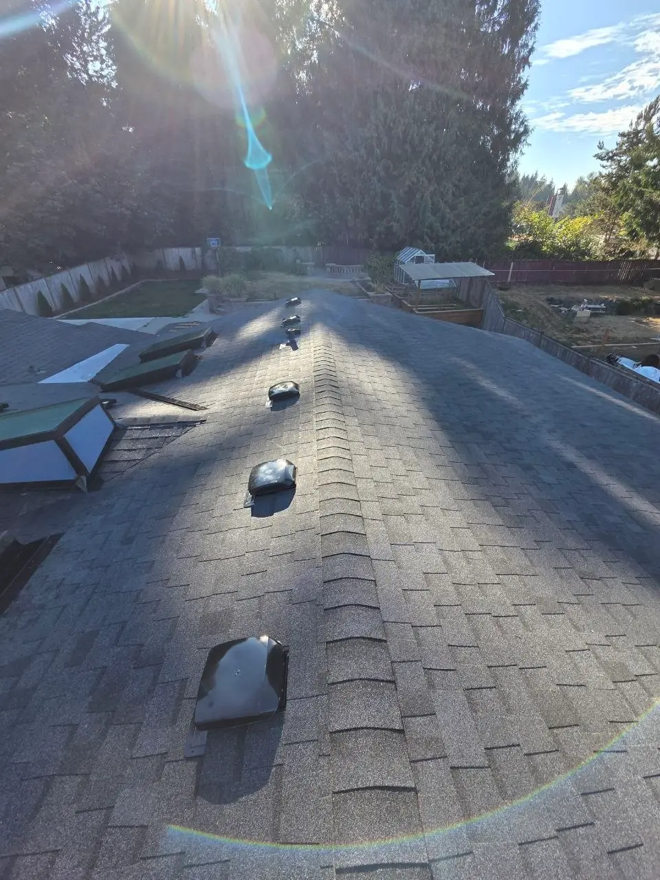 Gray shingle ridge vents skylights backyard view in Bothell