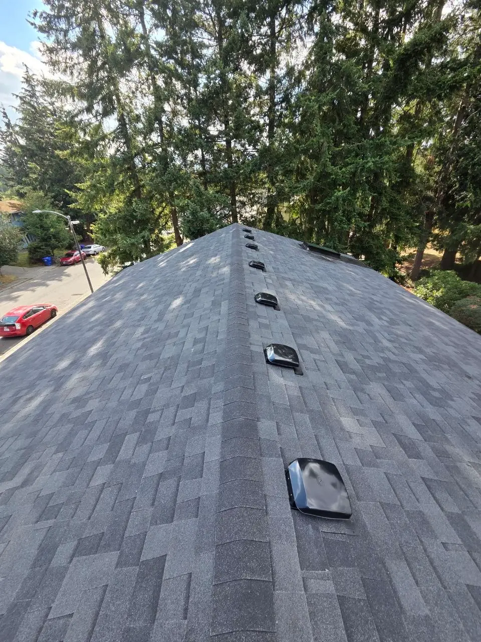 Gray shingle roof ridge skylight and attic vents