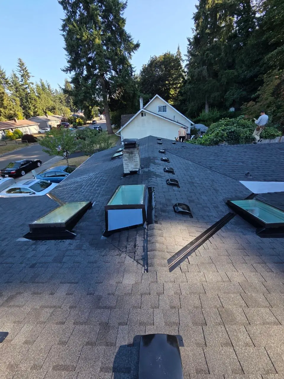Residential shingle roof multiple skylights and vents in Bothell