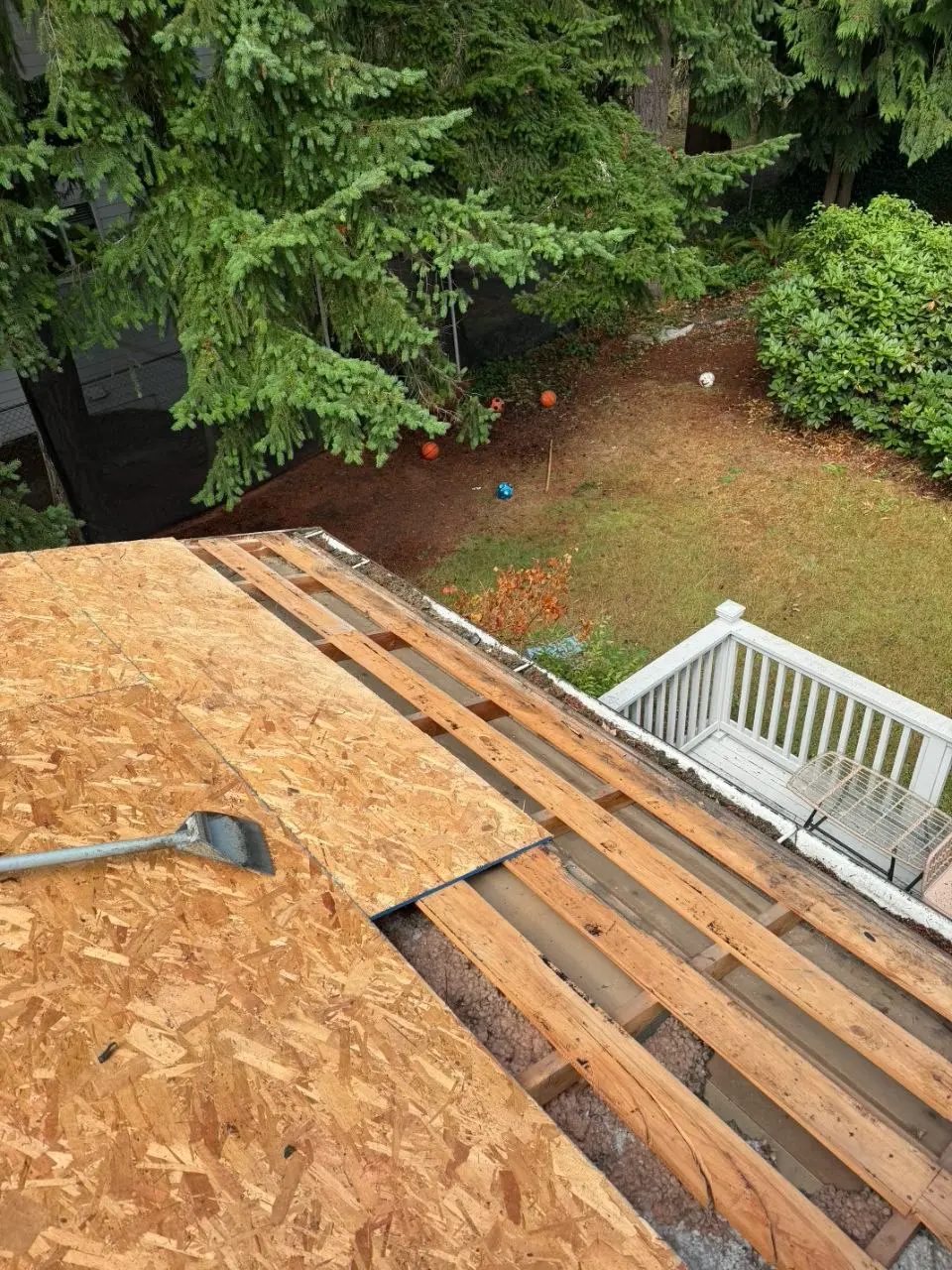 Roof decking osb sheathing over exposed rafters in Bellevue