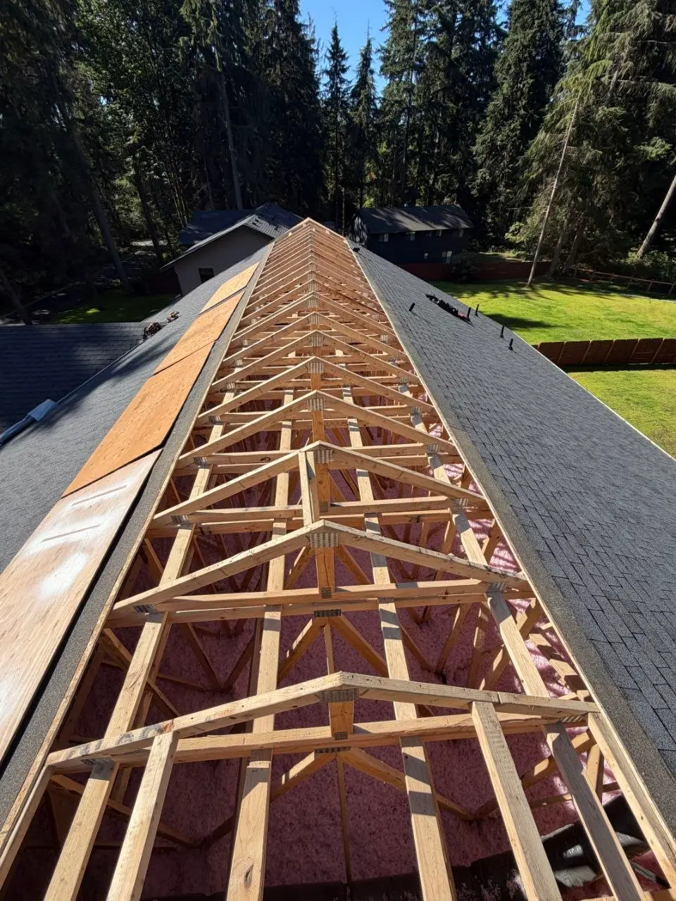 Roof framing trusses sheathing and shingles in progress