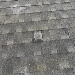 Damaged field shingle entry point on a Greater Seattle roof