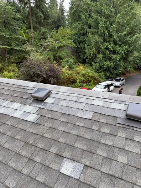 Field repair zone downslope after roof leak fix