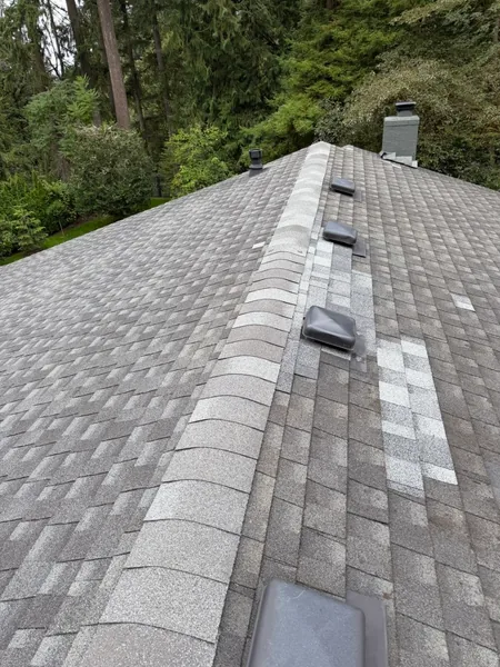 Roof ridge and vent overview during leak-tracing project