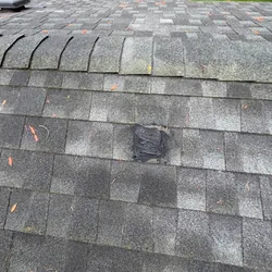 Temporary sealant patch marking a roof leak entry point