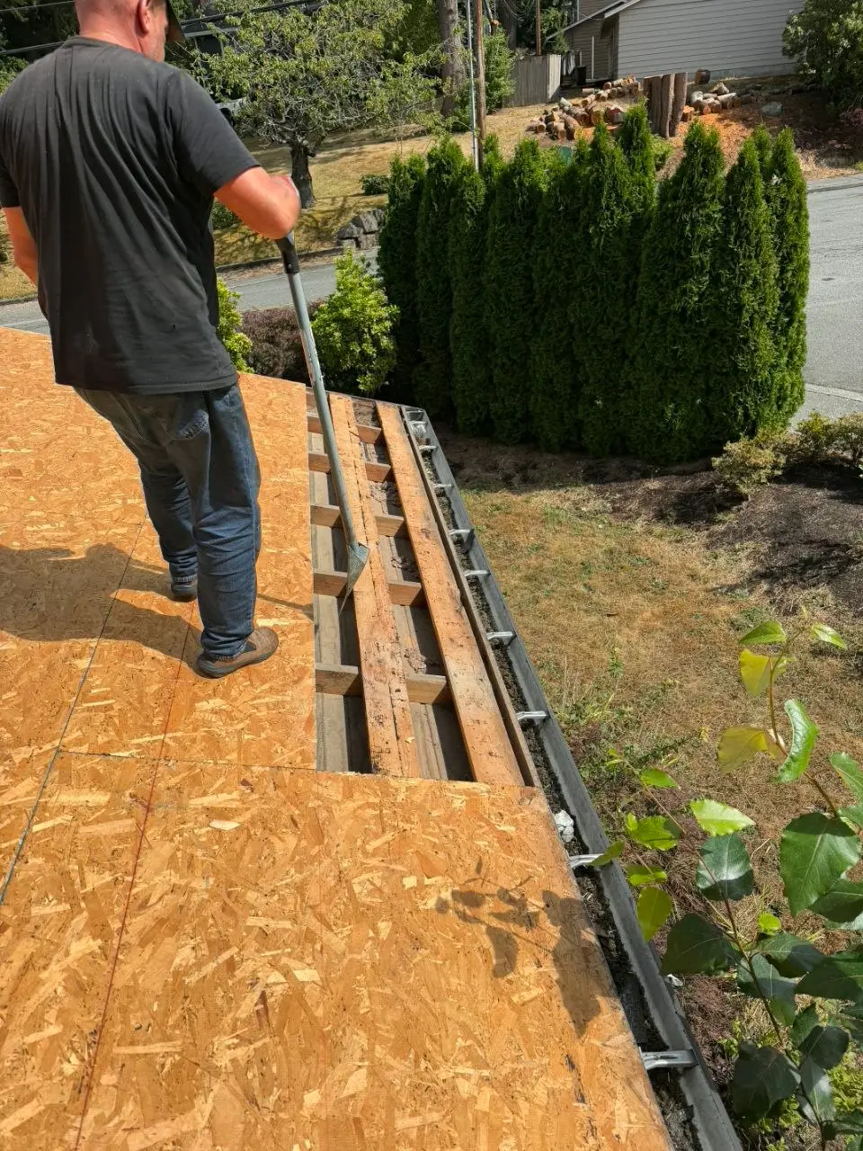 Roof replacement osb decking roofer with tear off tool in Bellevue