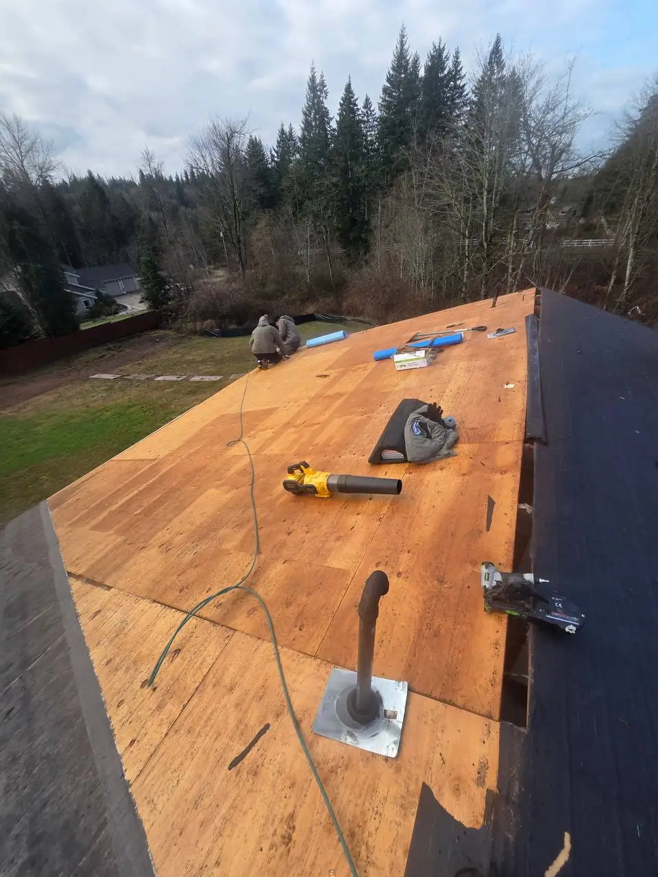 Roof tear off plywood deck ready for underlayment in Seattle
