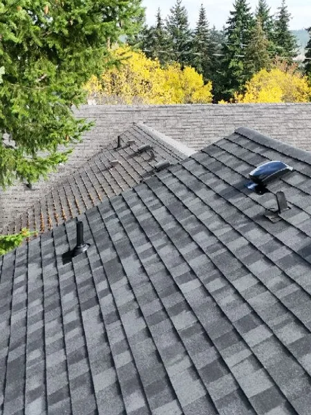 Completed architectural shingle field after new installation