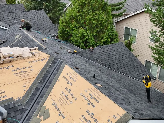 Crew laying architectural shingles over underlayment on a new install
