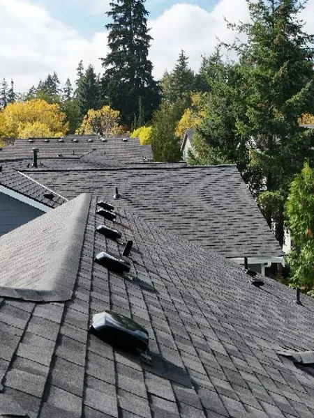 Complex multi-plane shingle roof finished after full replacement