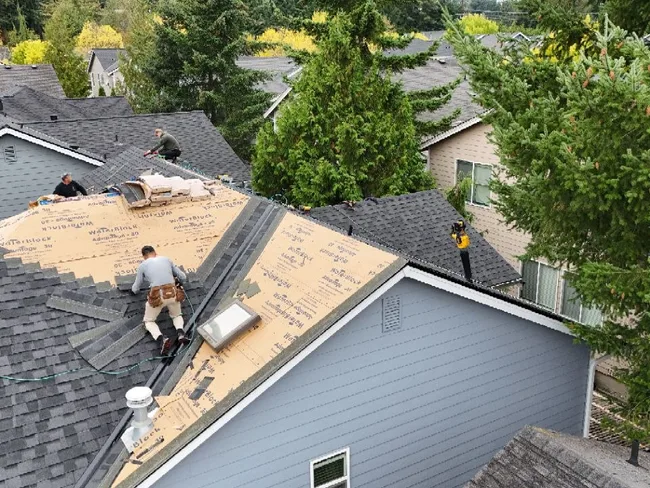 Licensed crew installing architectural shingles during a full replacement